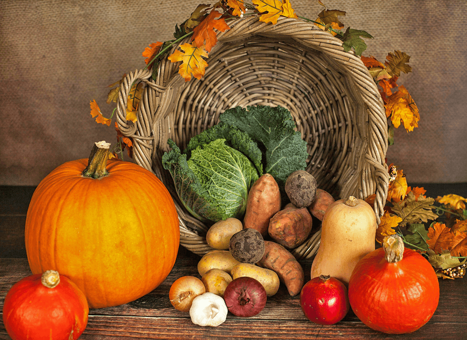 Ernährung als Basis